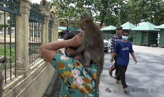 泰国小镇被3500只<em>猴子</em>占据 当地被迫启动绝育计划
