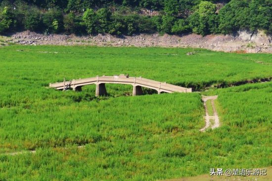 宁波发现一座孤独的桥，埋在水里一年只露一次面，却成为美丽...