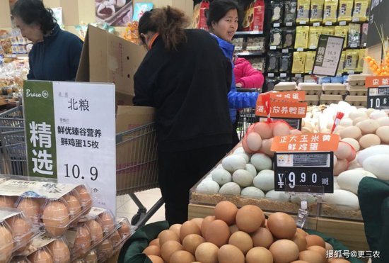 猪价、粮价预警：1月23日，<em>今天</em>最新生猪、玉米、<em>鸡蛋价格行情</em>...