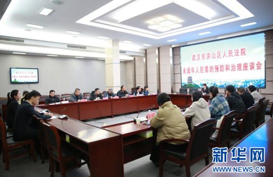 <em>武汉洪山区</em>法院召开未成年人犯罪预防和治理座谈会