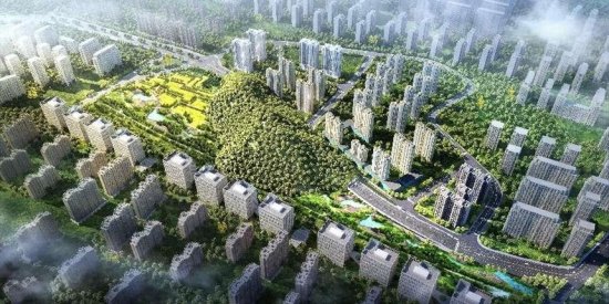 深圳罗湖：基础设施投资超千亿 高质量打造先锋城区