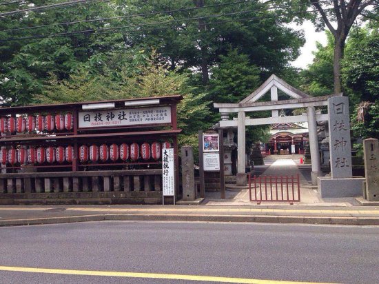 为何很多人在日本神社里结婚呢？~