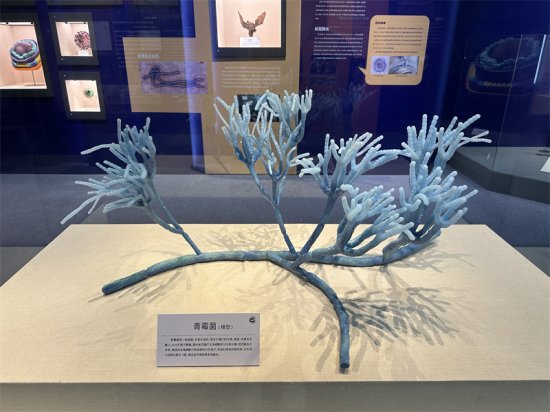“微生·大观——我们与微生物<em>的恩怨</em>情仇”在北京自然博物馆开展