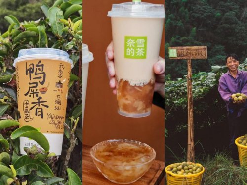 奈雪东阿阿胶奶茶升级回归，创新中式健康茶饮体验