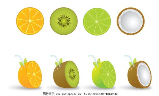 水果 矢量图/橙与奇异果水果矢量图