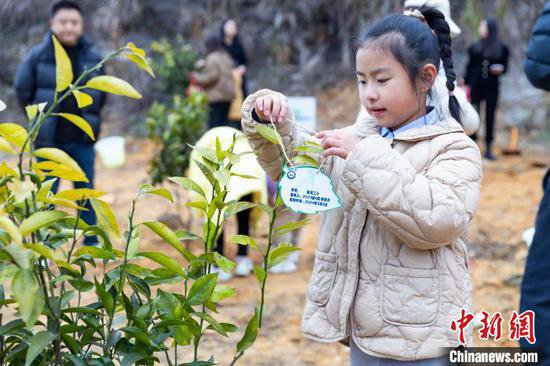 重庆：小<em>学生</em>植树为矿坑修复添新绿