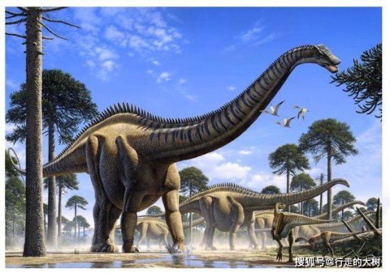 新疆发现的巨无霸<em>恐龙</em>，脖子长16米，腿以上全是脖子