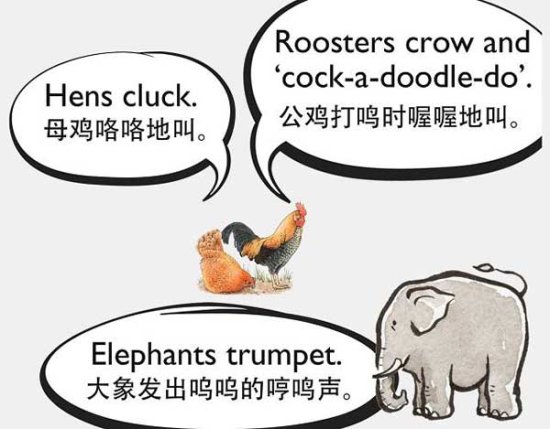 自然界中有各种<em>声音</em> 如何用英语来<em>描述</em>动物的叫声？