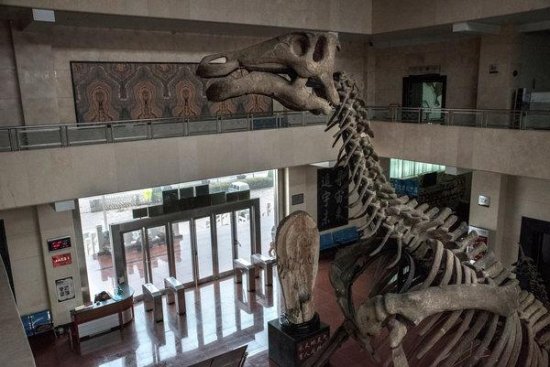 美媒：中国化石挖掘<em>存在</em>灰色地带 村民私藏<em>恐龙</em>蛋