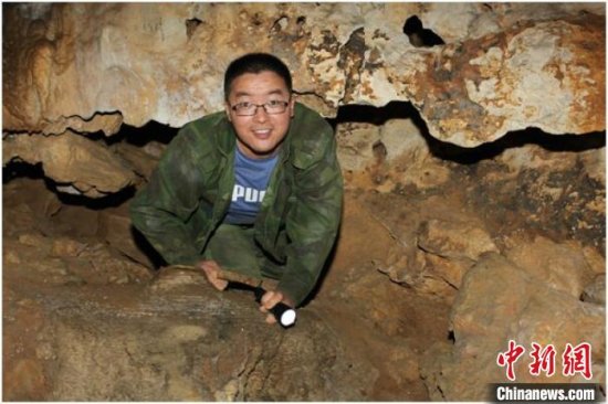中外科学家从190万年前广西巨猿化石中提取遗传物质-中新网