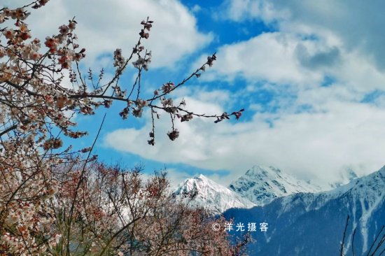 <em>春寒料峭的</em>高原，在美如江南的林芝，找寻最具神韵的春日美景