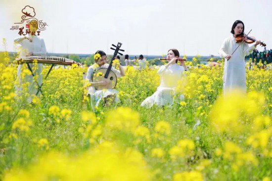春游正当时，快来上海这些地方游园、赏花吧！