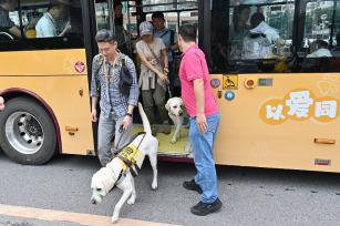 <em>国际</em>导盲<em>犬</em>日 广州新增“导盲犬形象巴士”