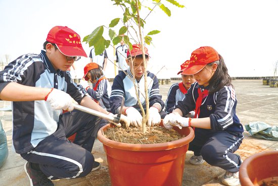南宁市各中小学开展植树护绿活动 为绿城添新彩
