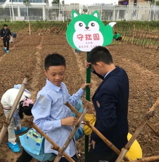 先行者｜力迈国际学校为学生打造了生态<em>种植园</em>