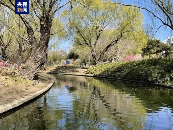 春日踏青好时节 北京这些水路航线值得一去