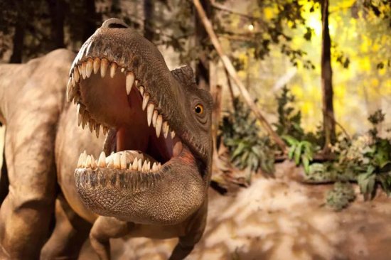 <em>霸王龙</em>（T. Rex）的进化和行为