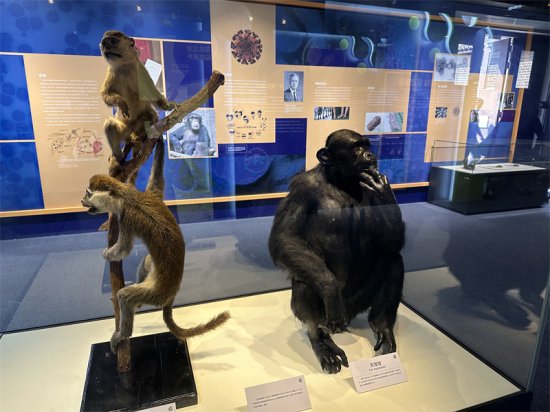 “微生·大观——我们与微生物<em>的恩怨</em>情仇”在北京自然博物馆开展