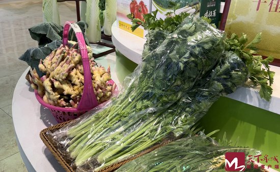 乡村产业看莱芜 | 能生吃的水果<em>芹菜</em>！28元一斤供不应求