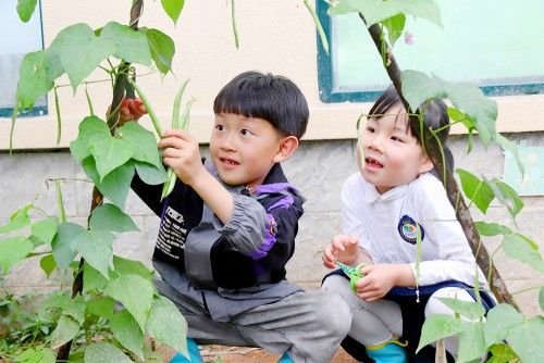 “寓教于乐、劳动之美伴成长”，缙云县新区实验幼儿园教育从...