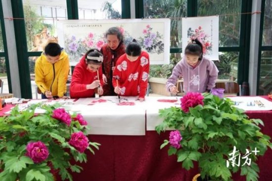 华南植物园牡丹花展除夕启幕，特色植物展虎年寻“虎”迹