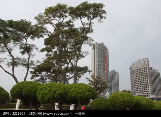 滨海 威海市 素材 建筑/山东 威海 滨海城市高楼建筑大树