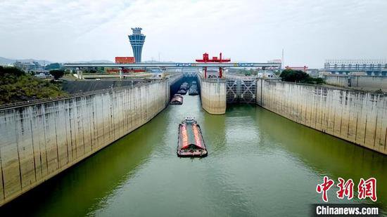 广西长洲船闸年过货量超1.8亿吨 成中国天然河流过货量最大船闸