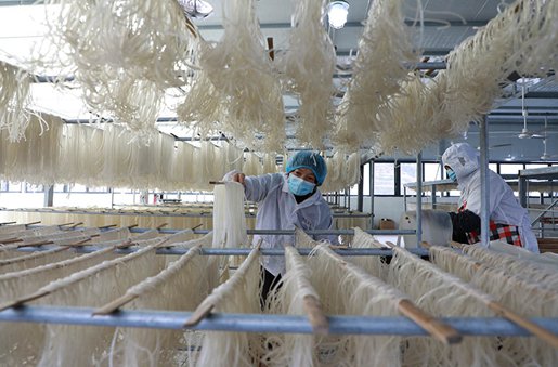 重庆彭水：乡村“微工厂” 苕粉生产忙