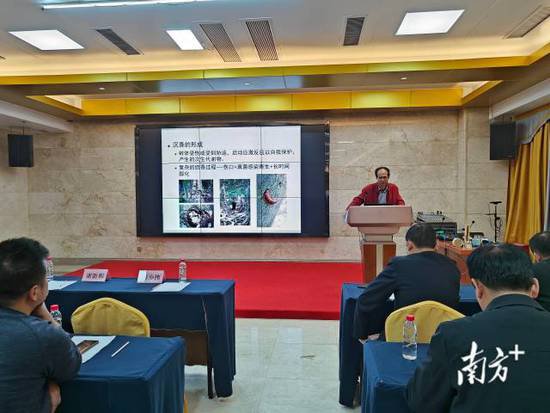 梅州市沉香产业发展研讨会在梅城举行