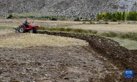 高质量发展调研行丨<em>西藏</em>建成高标准农田422万亩