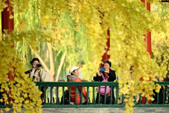 2024年北京市公园游览年票<em>开始发售</em> 线上线下均可办理