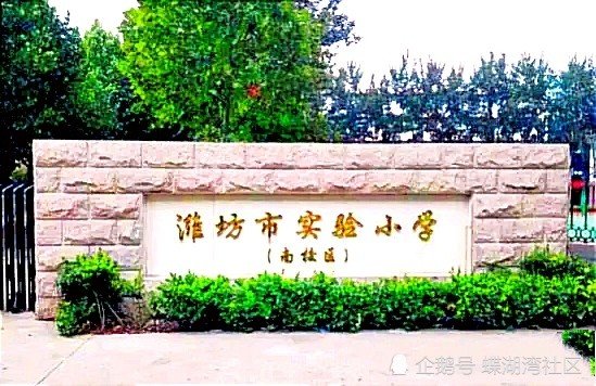 2021年 山东省潍坊市<em>小学排名</em>top10