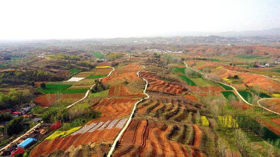 河南西峡：“千万工程”绘就乡村振兴“新画卷”