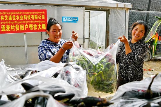 西藏<em>林芝</em>：蔬菜<em>种植</em> 鼓起百姓“钱袋子”