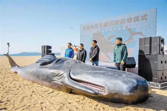 “<em>鲸</em>落深港澳海洋清洁联盟”在深圳大鹏成立