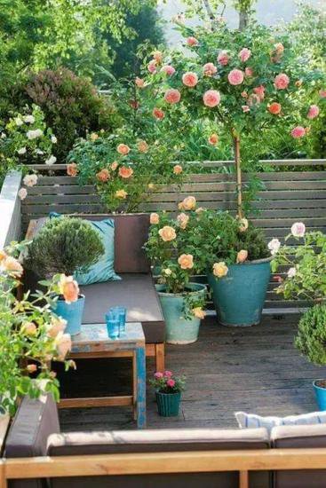 美丽庭院创建小锦囊——家有小花园，来一壶茶捧一本书，听雨打...