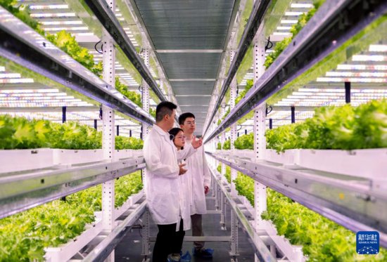 新华全媒+丨探访大型“无人植物工厂”