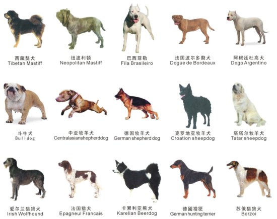最新苏州禁养犬名单：苏州<em>哪些</em>狗不能养 违规如何处罚