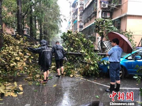 <em>台风</em>“<em>温比亚</em>”过境 南京街头百余树木倾倒积水严重