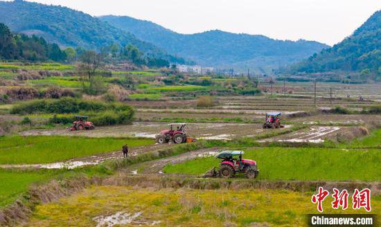 粮食主产区江西预计今年春播早稻超1800万亩