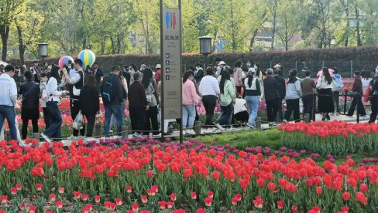 西安曾经的皇家公园兴庆公园现免费，牡丹花、郁金香花盛开啦！