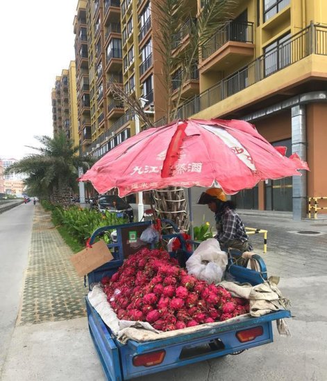 海南岛西部的县级市，<em>水果</em>竟比<em>蔬菜</em>便宜，惊不惊喜？