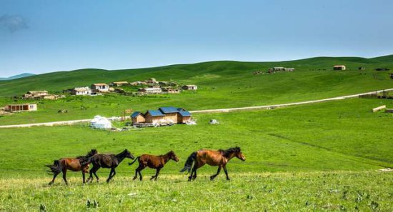 新疆这个地方，风景太美被称之为“<em>塞外江南</em>”，盛产汗血宝马