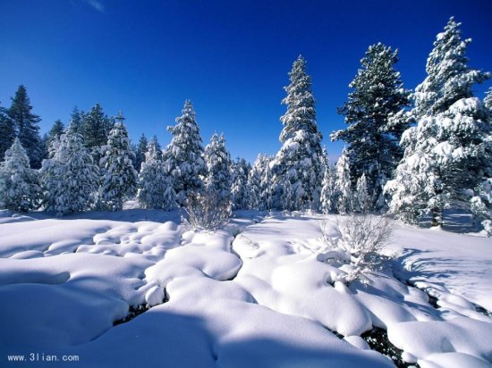 空间 宁波/自然雪景图片