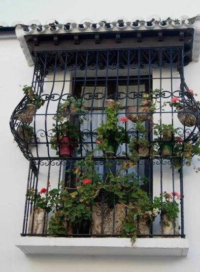 窗外装栅栏，都说像牢笼，如今<em>蔷薇</em>盛开满<em>杆</em>爬，成了街道最美的...