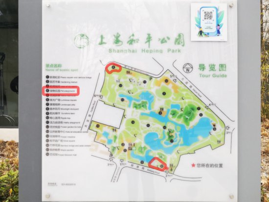 <em>宠物犬</em>能否进公园之争：一个“折中”解决办法在上海走热