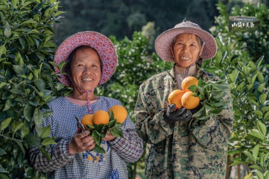 赣南脐橙遇到抖音全域兴趣电商：可“预订”的农产品对农业实体...