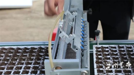 道县：“水培”育苗新技术 提高蔬菜栽植成活率