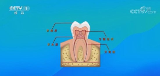 牙齿健康的标准是什么？