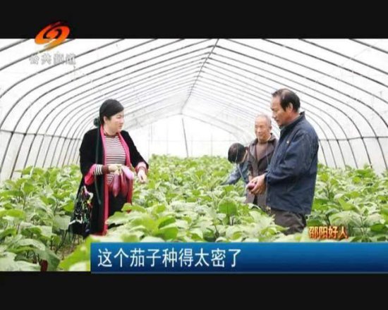 访湖南省新巾帼农业发展股份有限公司董事长谢建云